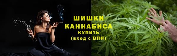 крисы Зеленокумск