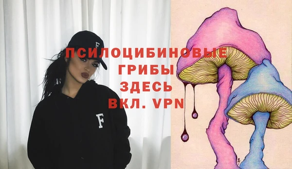 крисы Зеленокумск