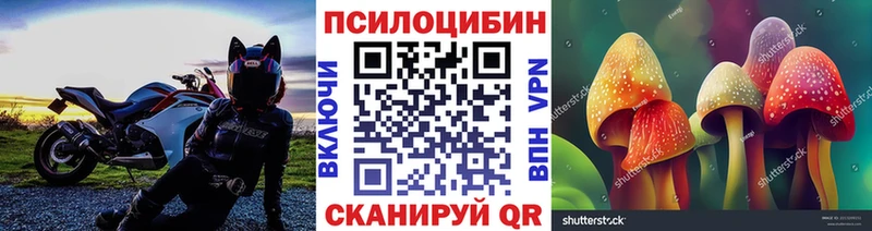 Купить  Западная Двина  Галлюциногенные грибы Magic Shrooms 